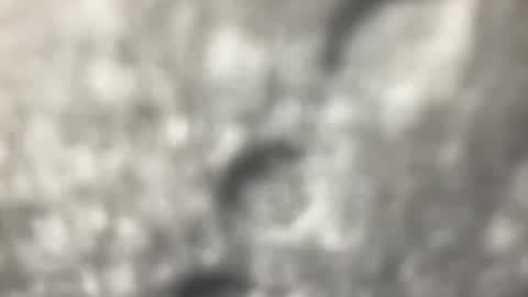 Snapshot of biguywithtoys chatting on 12-22-24, 06:37 biguywithtoys online show from 12-22-24, 06:37