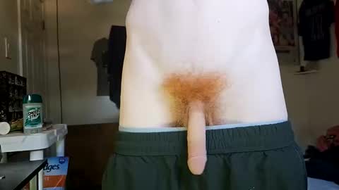 Onlyfans redheadedwhitedick online show from 05-06-26, 05:51