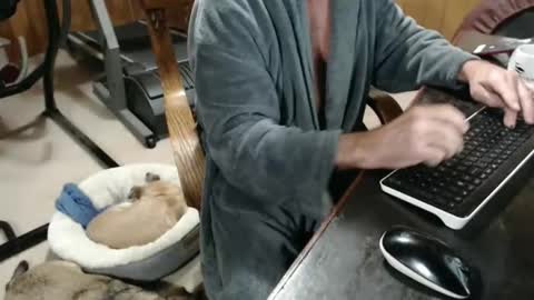 Snapshot of billy471 chatting on 11-20-25, 03:12 billy471 online show from 11-20-25, 03:12