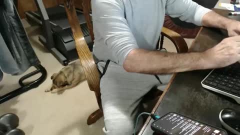 billy471 online show from 04-02-26, 11:35