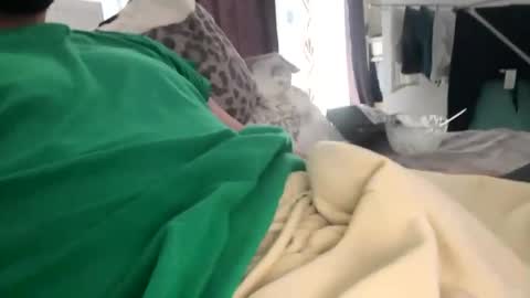 Snapshot of billy_antonny11 chatting on 03-02-26, 12:12 billy_antonny11 online show from 03-02-26, 12:12