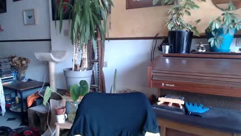 Snapshot of billy_fingercut chatting on 03-04-25, 07:30 Billy FingerCut online show from 03-04-25, 07:30