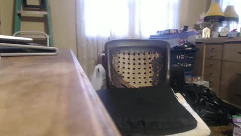 Bimbttm online show from 12-20-24, 01:00