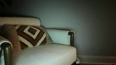 bisfurbear online show from 02-27-26, 08:36