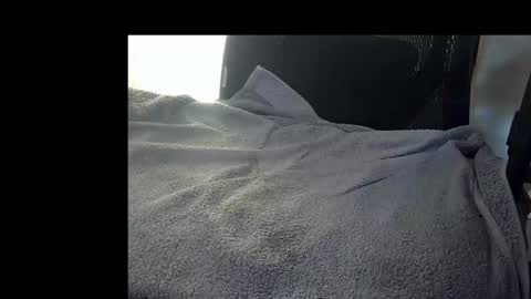 bislider online show from 11-12-25, 09:10