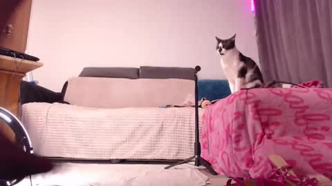 BitE ThE TreaT online show from 02-15-25, 02:04