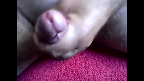 blabla78000 online show from 09-15-25, 06:46