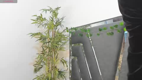 B L A C K  R O S E  online show from 02-10-25, 11:46