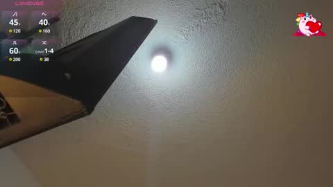 B L A C K  R O S E  online show from 02-12-25, 11:51