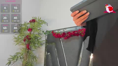 B L A C K  R O S E  online show from 02-20-25, 11:31