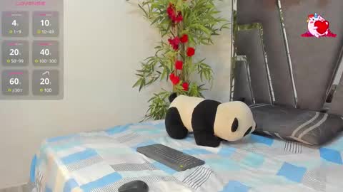 B L A C K  R O S E  online show from 02-26-25, 11:41