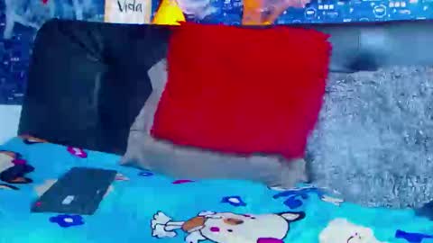 duglas online show from 11-05-25, 05:13