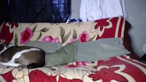 Snapshot of blackpanter_13 chatting on 09-27-25, 11:48 Black Panther online show from 09-27-25, 11:48