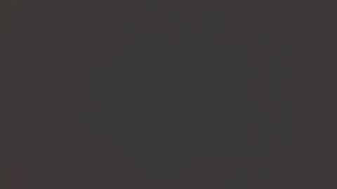 blakeshatter online show from 02-04-25, 11:16