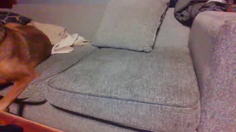 blaw_1321 online show from 04-14-26, 07:25