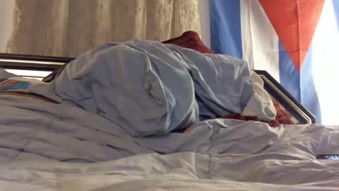 FreshCut online show from 02-11-25, 04:01