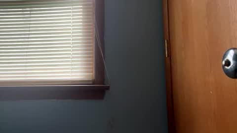Snapshot of blissfulfoxtrot chatting on 04-28-26, 01:38 Blissful Foxtrot online show from 04-28-26, 01:38
