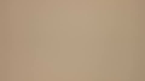 Blondie gin online show from 02-21-25, 03:54