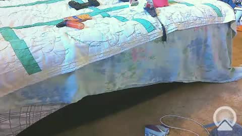 Snapshot of blondieblu89 chatting on 02-20-25, 02:24 First Time College Boy online show from 02-20-25, 02:24