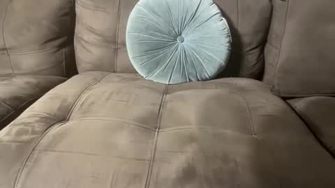 bluegreenish online show from 10-27-25, 11:41