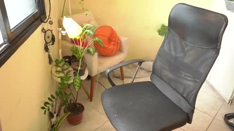 FLORAA online show from 01-15-25, 04:43