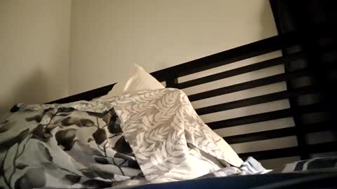 blueskyi0 online show from 12-29-24, 11:40