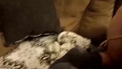 Assdrtyasuwant online show from 09-28-25, 01:49