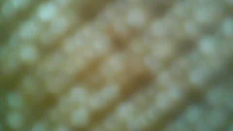 Snapshot of boatman00769 chatting on 05-31-26, 06:31 Motto Motto online show from 05-31-26, 06:31
