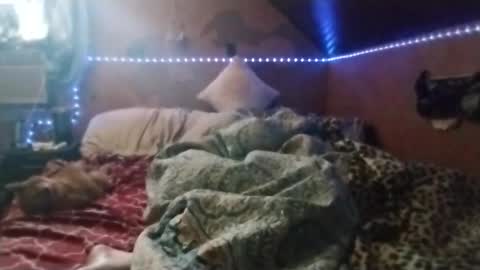 bobdeezzzzz online show from 03-19-26, 05:17