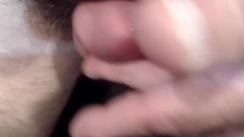 bobswan online show from 04-15-26, 02:46