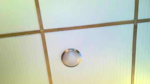 bodacioustits online show from 11-02-25, 07:22