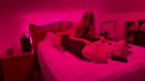 Snapshot of bodiddly64 chatting on 02-15-26, 08:02 bodiddly64 online show from 02-15-26, 08:02