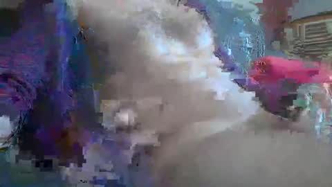 bonnieclyde90 online show from 10-12-25, 10:58