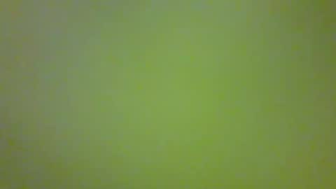 bonniediamond online show from 10-30-25, 06:52