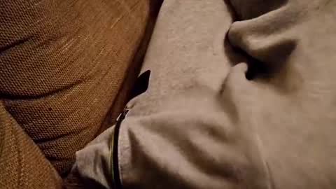 Snapshot of bonny8723 chatting on 02-05-25, 07:20 bonny8723 online show from 02-05-25, 07:20