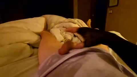 silky sissy sarah online show from 04-06-26, 10:05