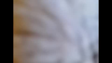 Snapshot of bonop1 chatting on 01-01-25, 01:59 bonop1 online show from 01-01-25, 01:59