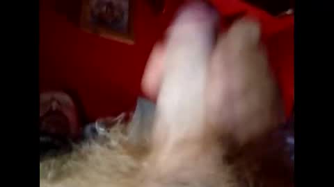 Snapshot of bonzoband chatting on 12-20-24, 10:05 bonzoband online show from 12-20-24, 10:05