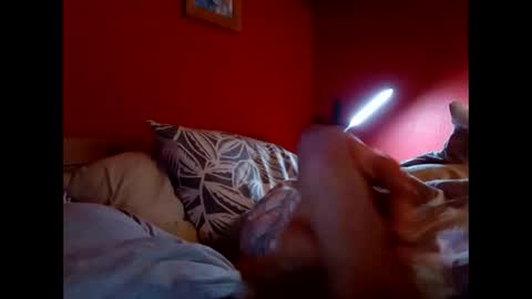 Snapshot of bonzoband chatting on 02-09-26, 11:25 bonzoband online show from 02-09-26, 11:25