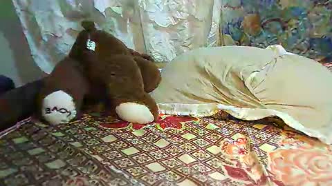 boobvherry online show from 02-11-25, 10:59