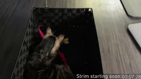 Booker Baxton online show from 10-26-25, 03:01