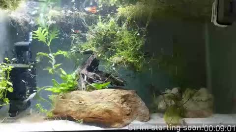 Booker Baxton online show from 02-22-26, 04:02