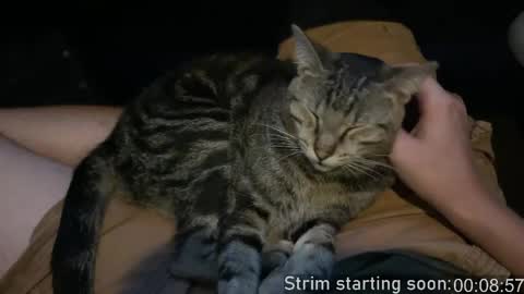 Booker Baxton online show from 04-14-26, 03:01