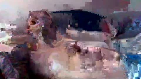 boomer64814390 online show from 07-12-26, 07:32