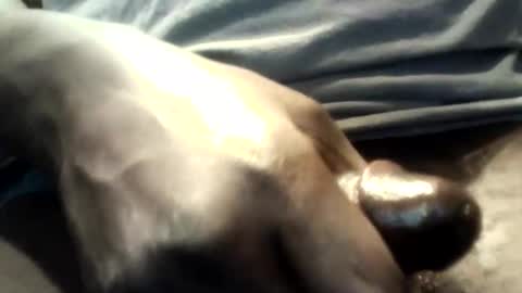 botofogo online show from 10-12-25, 01:59