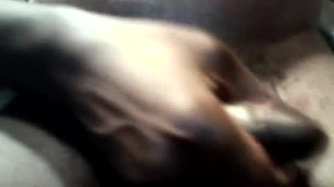 botofogo online show from 10-31-25, 03:46