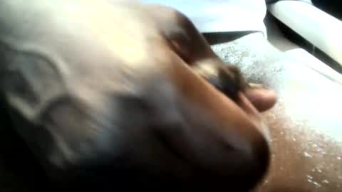 botofogo online show from 01-19-26, 08:07