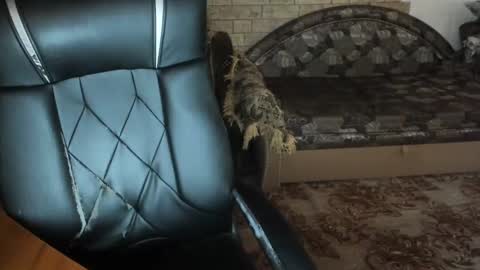 BoyApollon online show from 12-23-24, 07:38