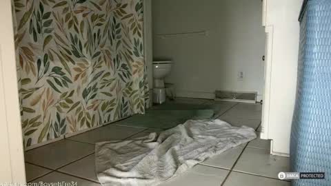 boysetsfire34 online show from 02-18-26, 05:53