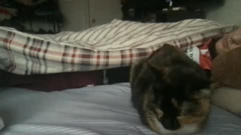 boywithbug online show from 02-13-25, 10:54